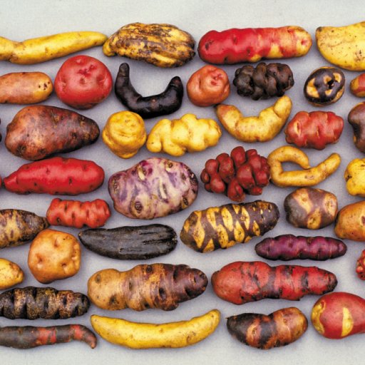 Май: Национальный День картофеля 