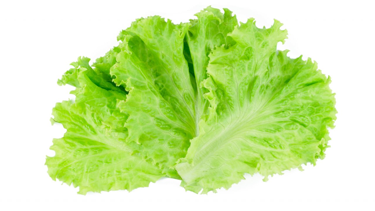 ТЕСТ: Как называется зелёный салат