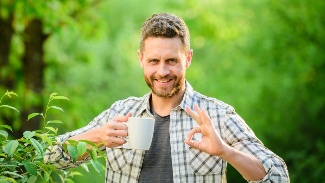 ТЕСТ: Как называется этот чай