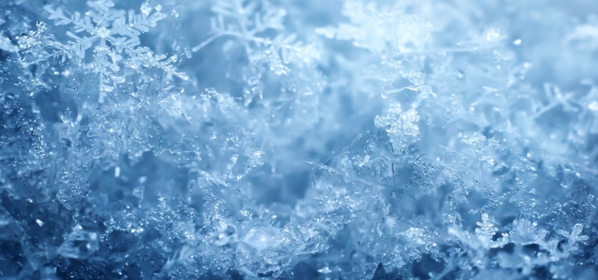 Холод shadowraze тест. Холод shadowraze тест. Холод shadowraze тест. Холод shadowraze тест. Холод shadowraze тест.