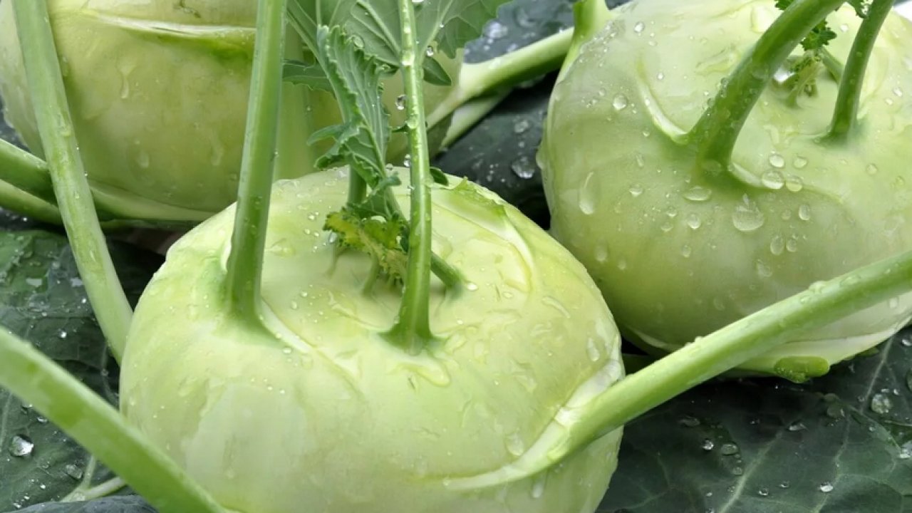 ТЕСТ: Угадайте разновидность капусты!