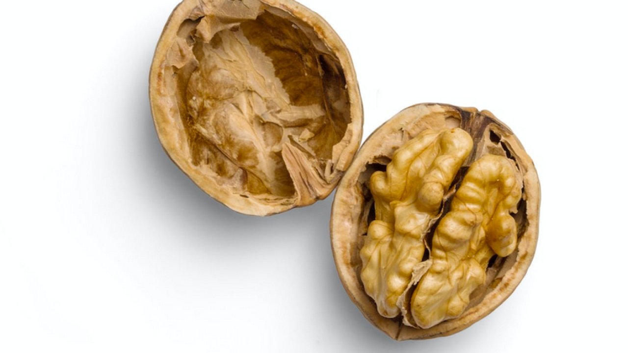 ТЕСТ: Угадайте орех