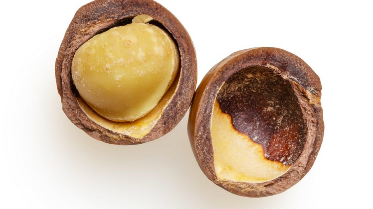 ТЕСТ: Угадайте орех